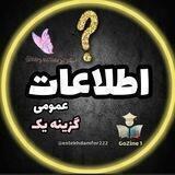 قانون اساسی و ‌اطلاعات عمومی