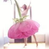 رحيق ميم 💗🌸