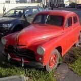 Автодворняги