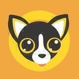 Chihuahua Community Chat
