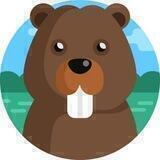 Beaver Coin $BVR 🦫
