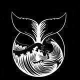 WhaleOfficial
