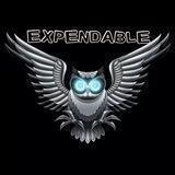 EXPENDABLE TEAM