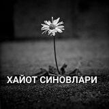 ХАЙОТ СИНОВЛАРИ