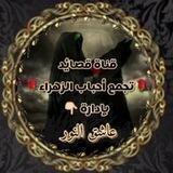 قناة قصايد 🌹تجمع أحباب الزهراء🌹