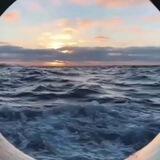 Стратегия голубого океана🌊