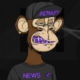MONKEY - NEWS