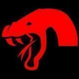KOBRAS VPN PRO