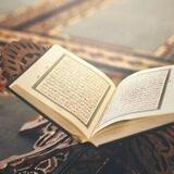 إسراء فايز
