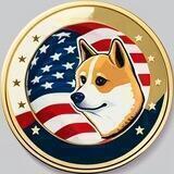 US DOGE