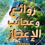 💡روائع وعجائب الإعجاز💡