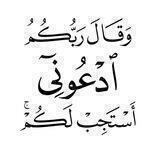 🍃 تلاوات ودعاء🌲