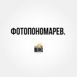 Вася с бровки📸