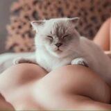 Girls and cats