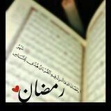 ريحانه المهدي ٣١٣🌱