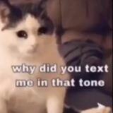 y21
