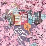 🌸✨2𝑫 𝕄𝙸𝑹✨🌸