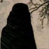 اقتباسات فتـاة سلفيـه 🌸.