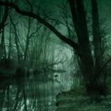THE BOG