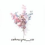 cekna.yna_co