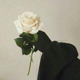 🌼🍃سلفيه المنهج 🍃🌼