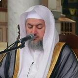 قناة فوائد الشيخ عبدالله بن صالح العبيد