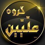 گروه علمی فرهنگی علیین