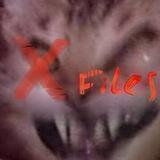 ❌-FILES
