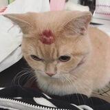♡