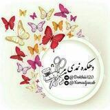 ️دهکده نمدی