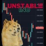 Unstable Inu