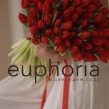 EUPHORIA