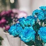 لراحة مسمعك💚