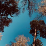 Чат ЮРуб