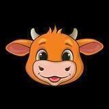 ibull chat