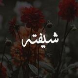 شیفته