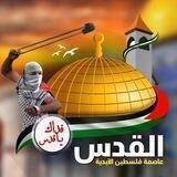 نابلس نيوز