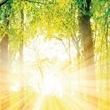 💫Mit dir gesund leben💫