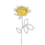 11:11 💛