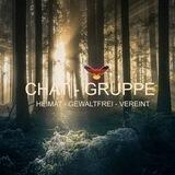 Chat Gruppe - TEAM HEIMAT Gewaltfrei Vereint
