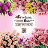 Tsvetana flower