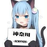 神奈川和平皮肤号