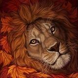 Lions Lions Lions
