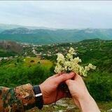 Ապրելու բանաձևը🫀