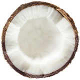 𝕮𝖔𝖈𝖈𝖔 𝖙𝖍𝖊 𝖕𝖑𝖚𝖌🥥