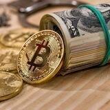 BTC Kingdom