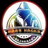 BR29 HACKS