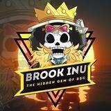 Brook Inu [KYC + AUDIT]