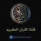 قناة القرآن الكريم