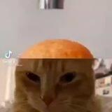 harperchannel